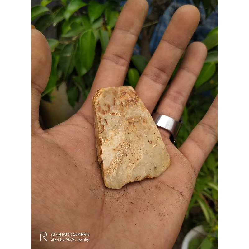 Kapak Batu Temuan 01