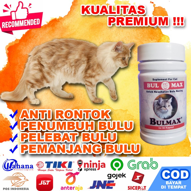 [Bm31] Pelebat Bulu Kucing Bulmax Vitamin Penumbuh Bulu Kucing Rontok Persia Anggora Himalaya Tebal