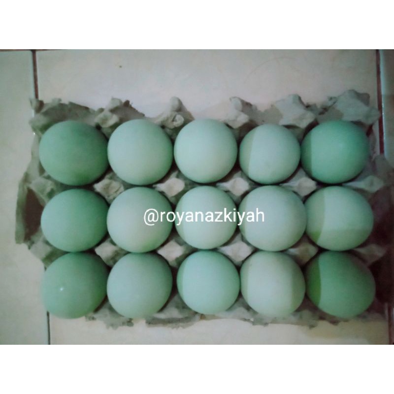 

TELUR ASIN LEGIT ISI 15 BUTIR / TELOR ASIN ORIGINAL / GURIH DAN MASIR / TELUR ASIN MATANG / TELUR / TELOR /ASIN / MASIR / GURIH / TELUR BEBEK / BEBEK / TELUR ASIN / TELOR ASIN / ORIGINAL / HOME MADE