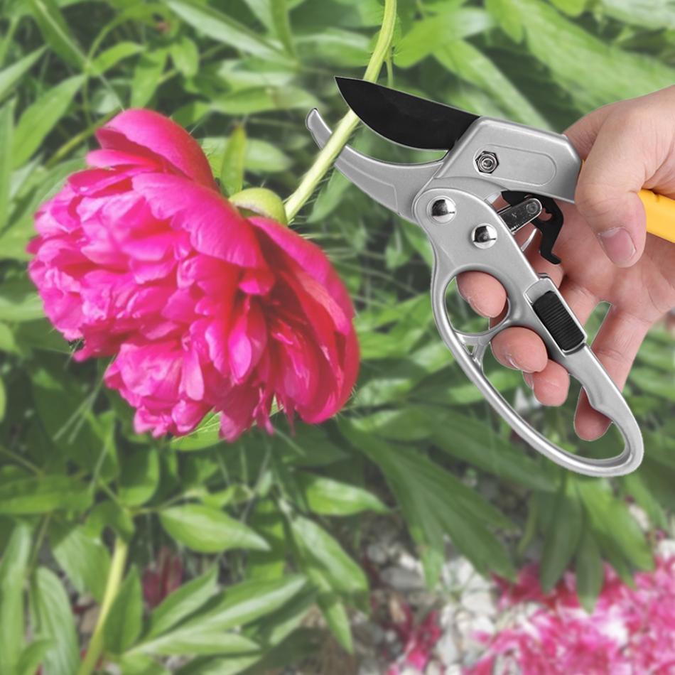 Gunting Ranting Dahan Pohon Kebun Bunga Rumput Taman Garden Pruning Shear Scissors