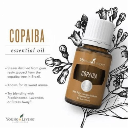 Young Living | Copaiba Essential Oil | 15 ML