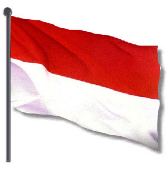 Gorden Tali Elisabeth New