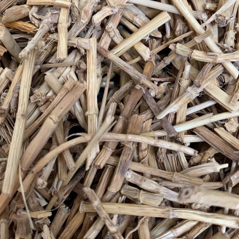 

Akar Alang-Alang Kering - Kualitas Super