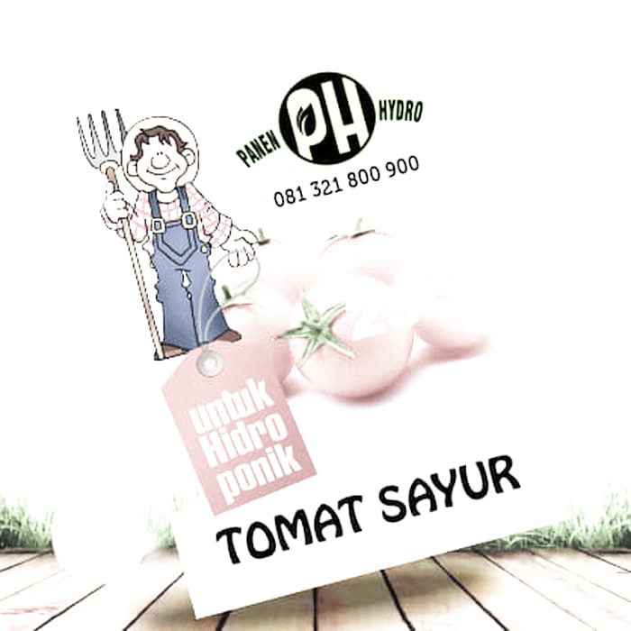 Unik BENIH BIBIT TOMAT SAYUR KHUSUS HIDROPONIK RE SELLER HARGA GROSIR Terlaris