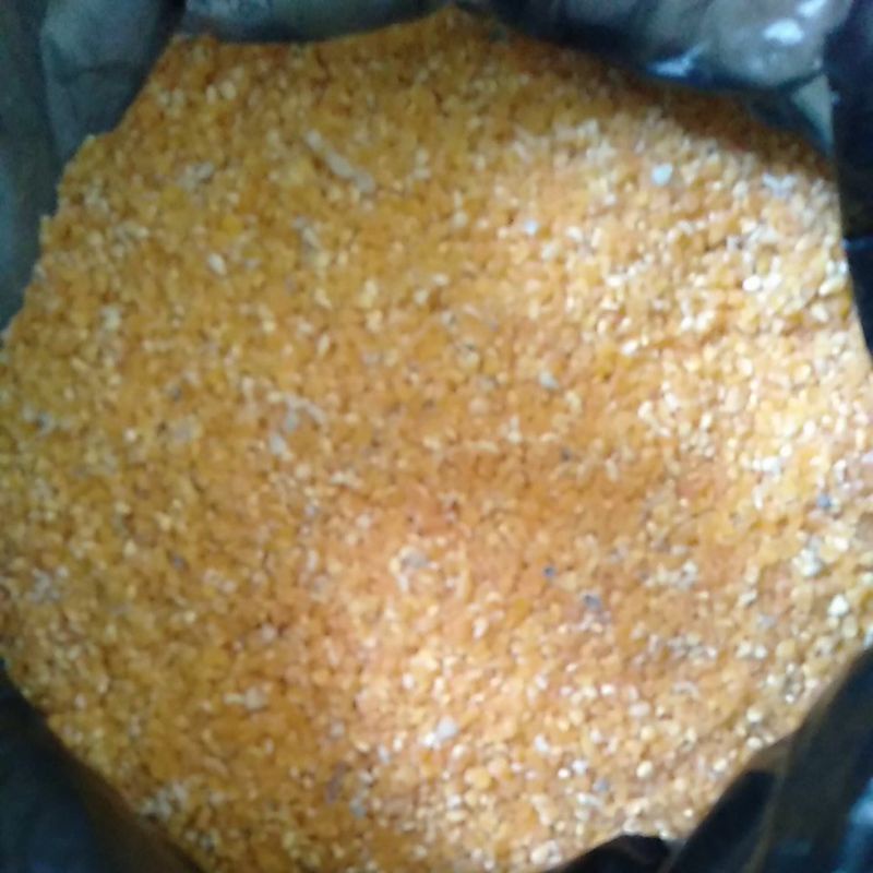 

Beras Jagung bikin Sego Jagung