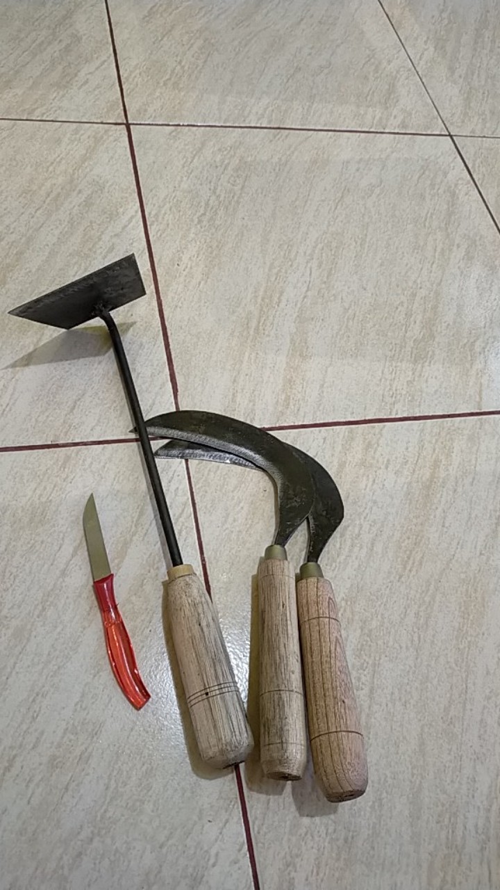 Pisau Dapur/pisau Buah Mini/souvenir Pisau Isi 12pisc/pisau Kecil