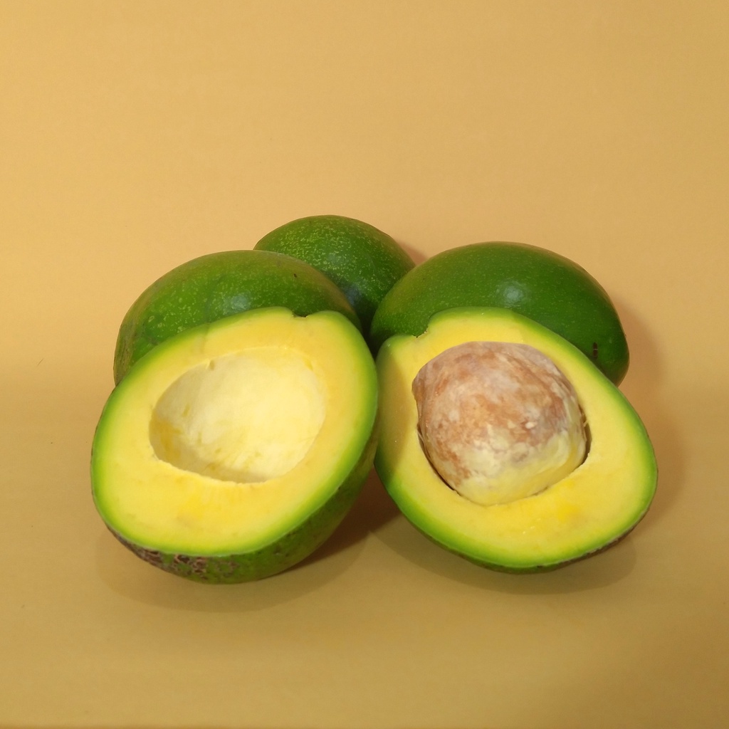 

Alpukat Mentega Super - Medium