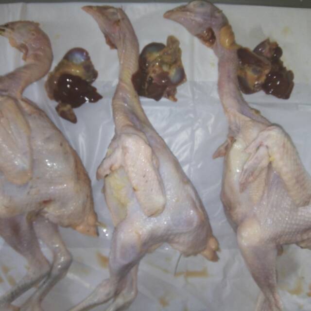 

Superfarm Karkas/daging ayam jawa super /joper