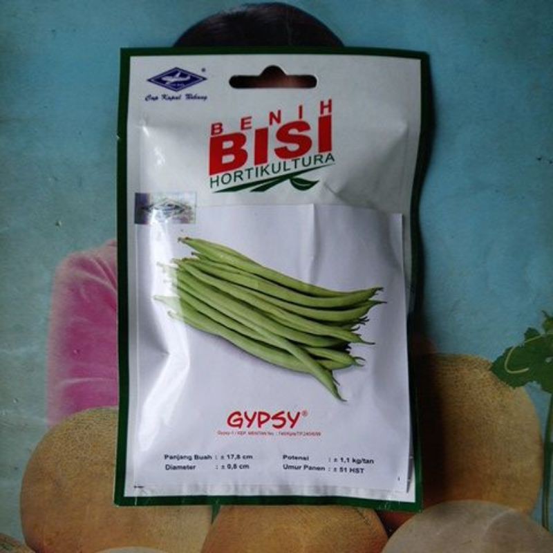Benih Bibit Buncis Tanpa Lanjar GYPSY Isi 150biji