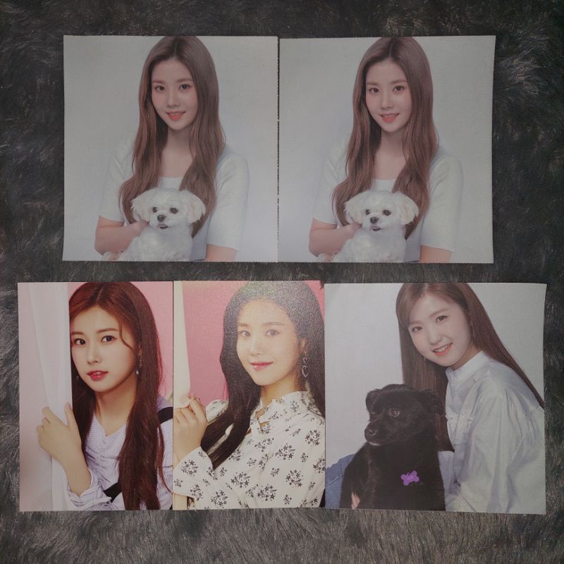 IZONE IZ*ONE GMARKET 1 & 2 SHOP FOR DOG POSTCARD POSTER (EUNBI HYEWON HITOMI)