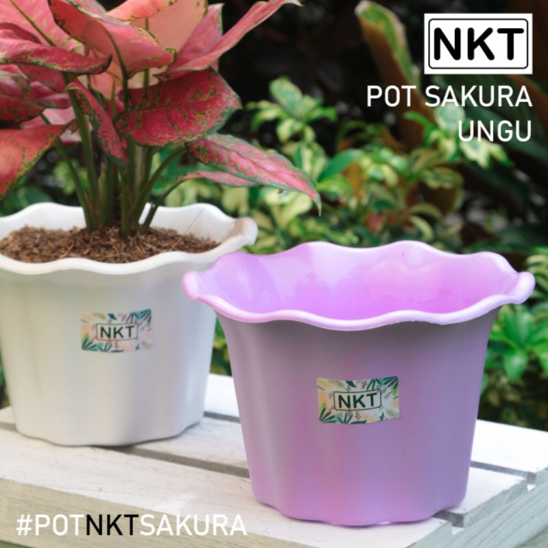 pot Bunga | pot Sakura | Pot NKT