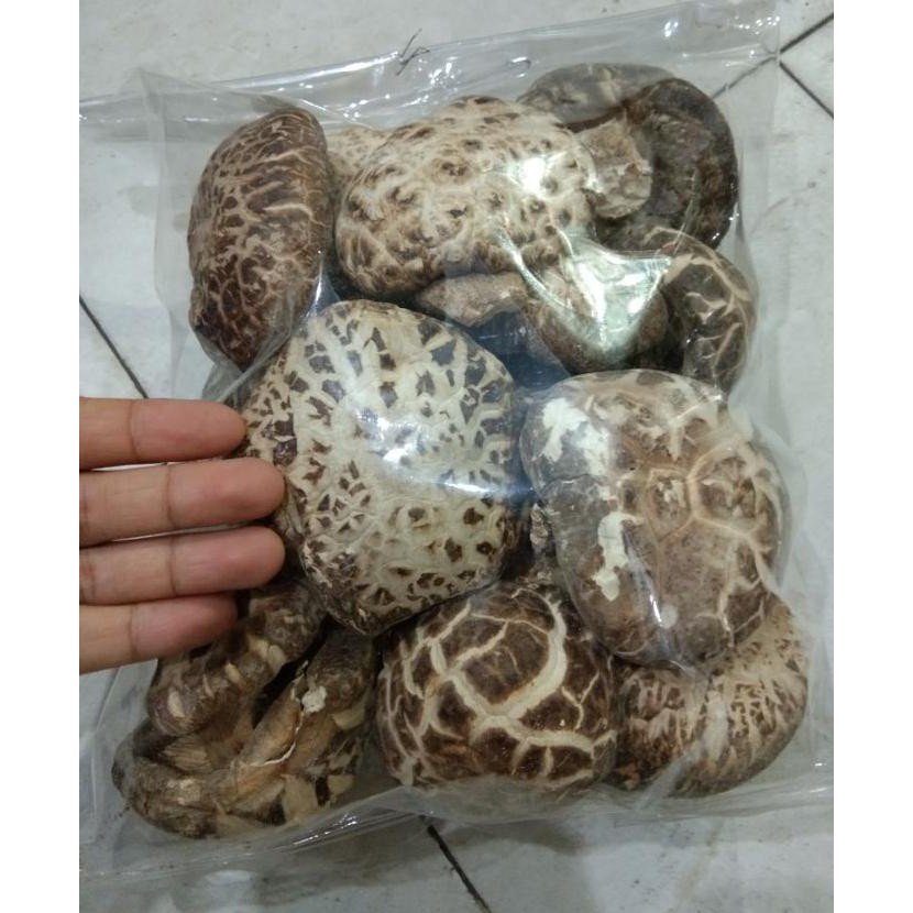 

TERMURAH Jamur shitake / hioko kering kualitas A. 1 bungkus setengah kilo Kode 124