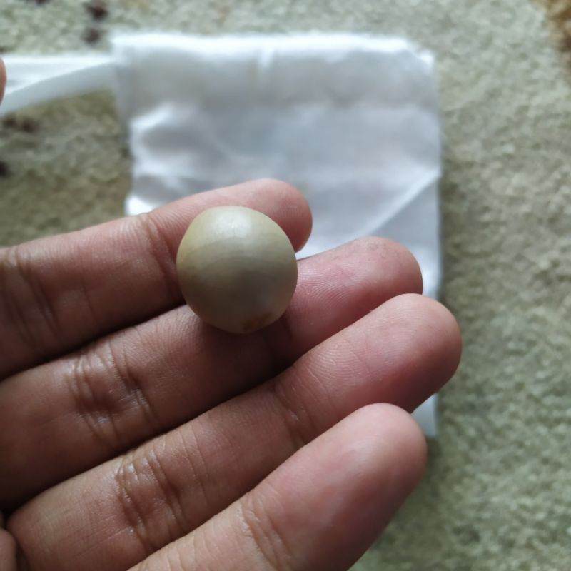 Mustika bambu nunggal temuan