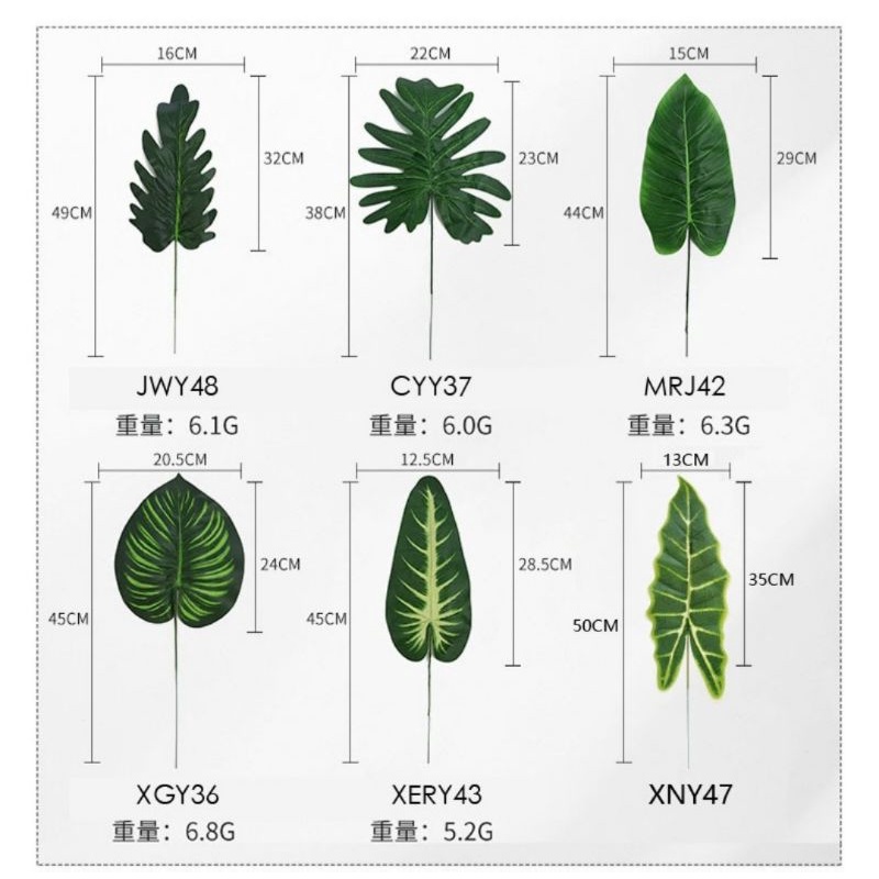 Daun Monstera Series Semangka Canna Pillow