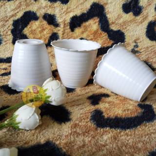  POT  NEW TAWON 7 PUTIH  7 5 CM POT  BUNGA  PUTIH  PLASTIK  VAS 