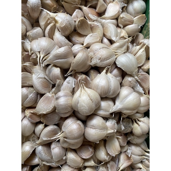

Bawang Putih Kating 500g