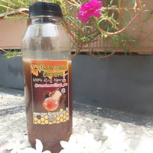 

Madu Hutan Asli 100% dari Hutan Sumatra (500gr) | Madu Organik 500gr