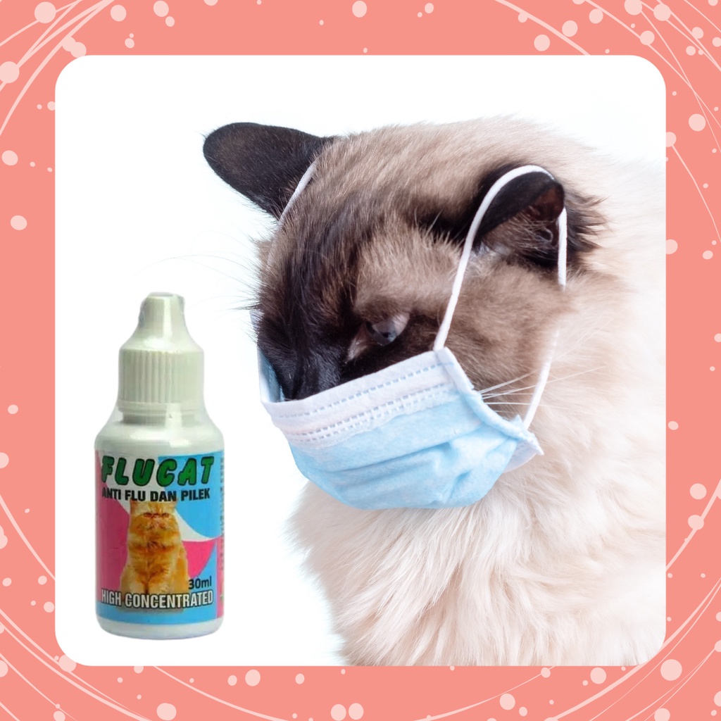 Max Flu Obat Flu Kucing &amp; Anjing