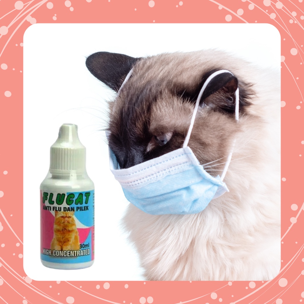 FLUCAT Obat flu dan batuk kucing 30ml | Joy Cathouse