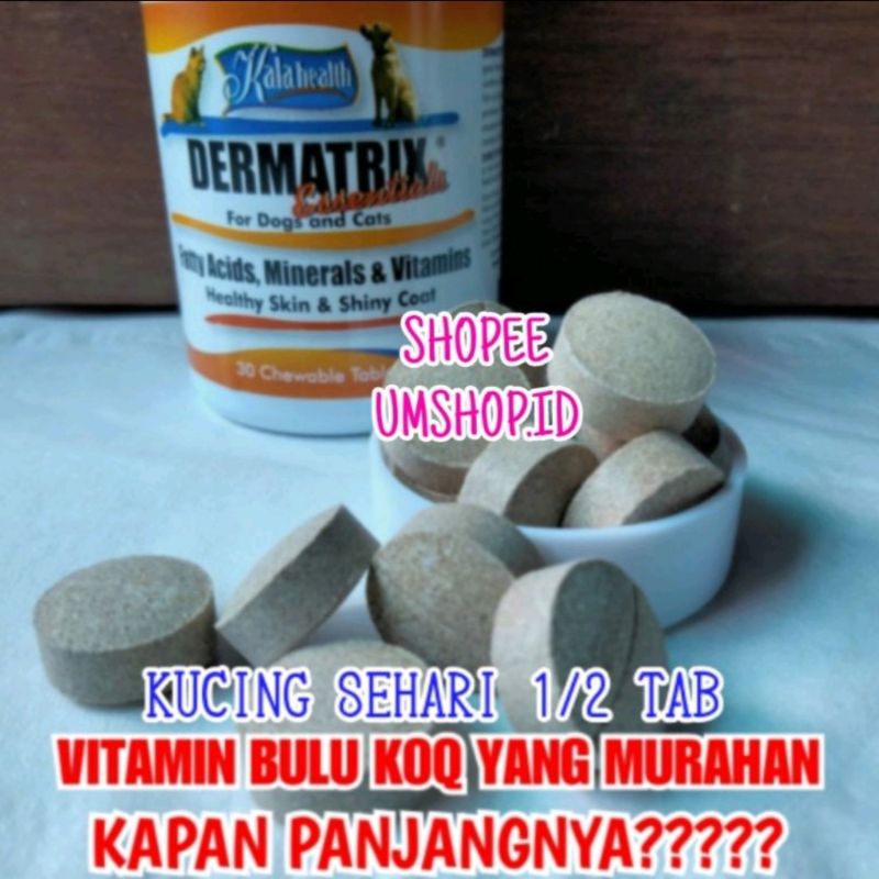 Dermatrix Vitamin Bulu Kulit Kucing Anjing Bulu Rontok