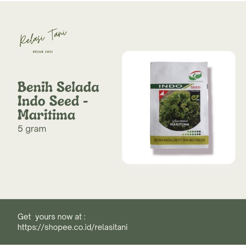 Benih Selada Maritima 5 gram Merk Indo Seed - Lettuce Batavia Original Packing PT Indogreen Seed Ind