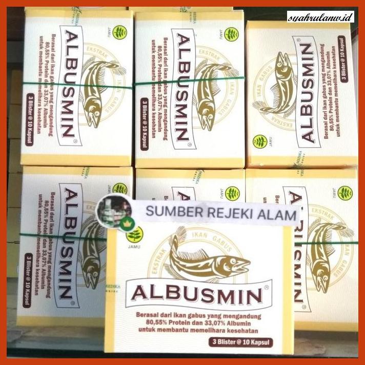 OBAT-HERBAL- ALBUSMIN PUJIMIN IKAN GABUS -HERBALITY.