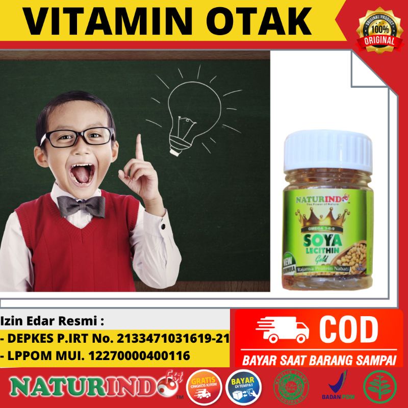 Suplemen kecerdasan otak anak, herbal paling ampuh untuk kecerdasan otak anak, vitamin otak anak, suplemen kecerdasan otak anak