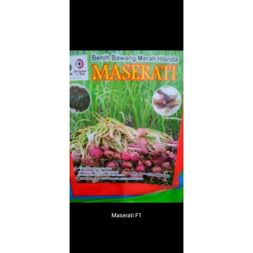 Benih Bawang Merah Hibrida Maserati 500gr(-+170.000 butir)exp 02 2026
