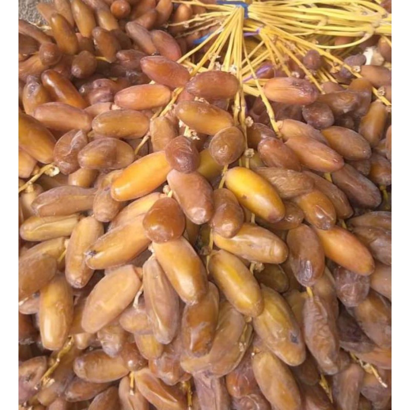 

PALM FRUIT KURMA TUNISIA 500 GR