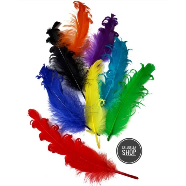 1 BIJI BULU AYAM KERITING WARNA | bahan diy kerajinan craft gelang bros kalung lumajang