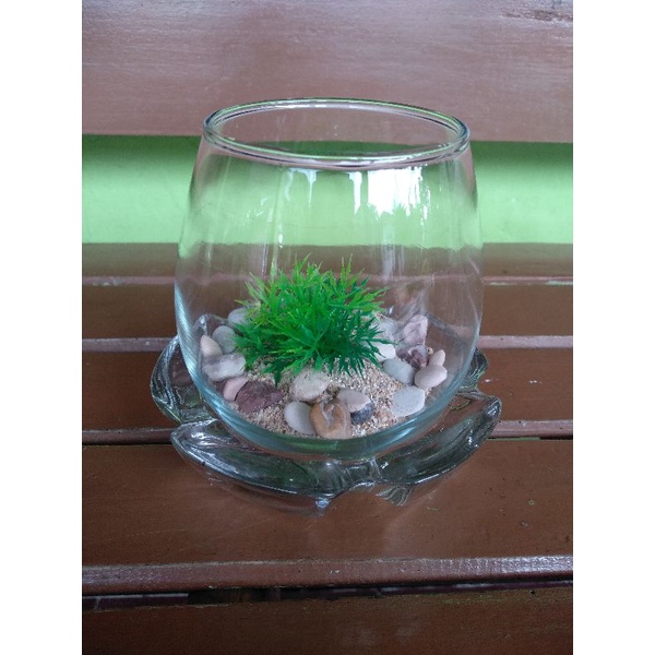 Paket aquarium mini Aquascape mini | Aquarium mini dan Hiasan | Gelas Tuscany dan hiasan Aquarium