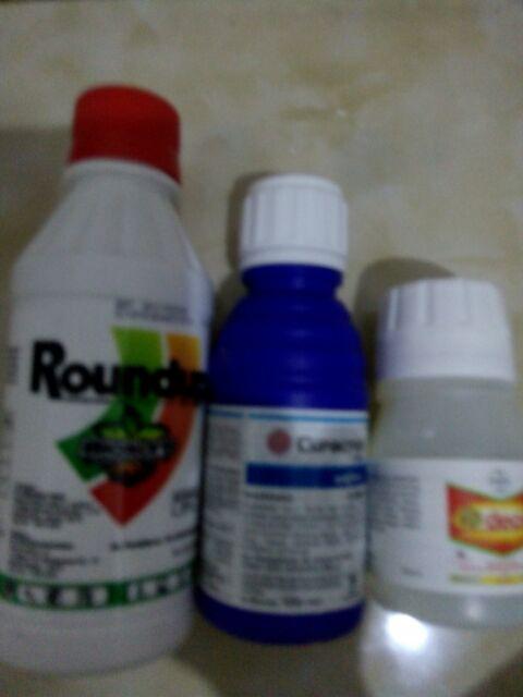 Insektisida Pembasmi Hama Kutu Putih Curacron 500ec-100ml