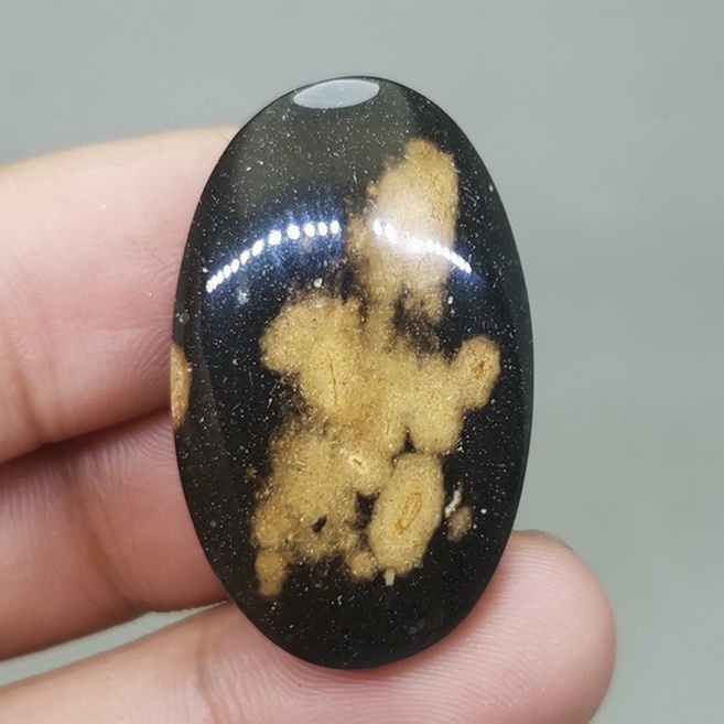 Batu Akik Fosil Natural Galih Kelor Bagus