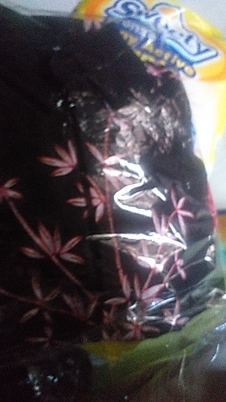 Kemeja Batik Anak Kemeja Anak Batik Kemeja Anak Laki Laki - Baju Batik Anak Laki Laki 1 - 12 Tahun