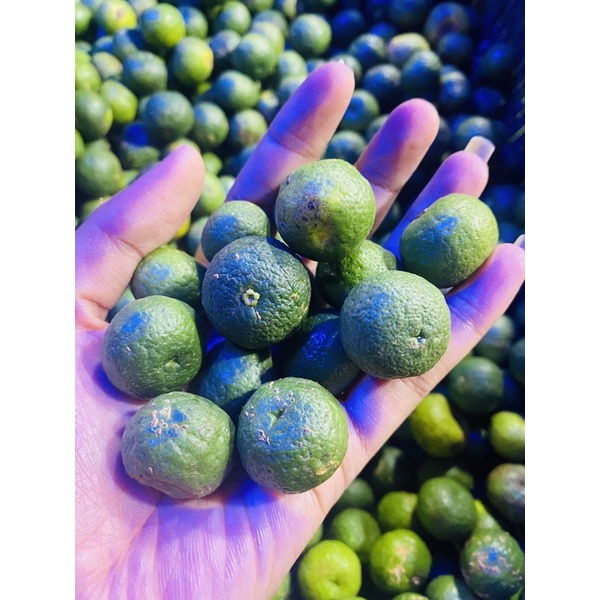 

Jeruk limo / Limau 100 gram