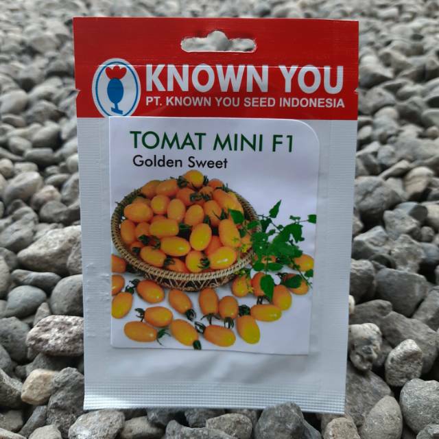 benih tomat ceri kuning GOLDEN SWEET F1(45btr)Known You Seed