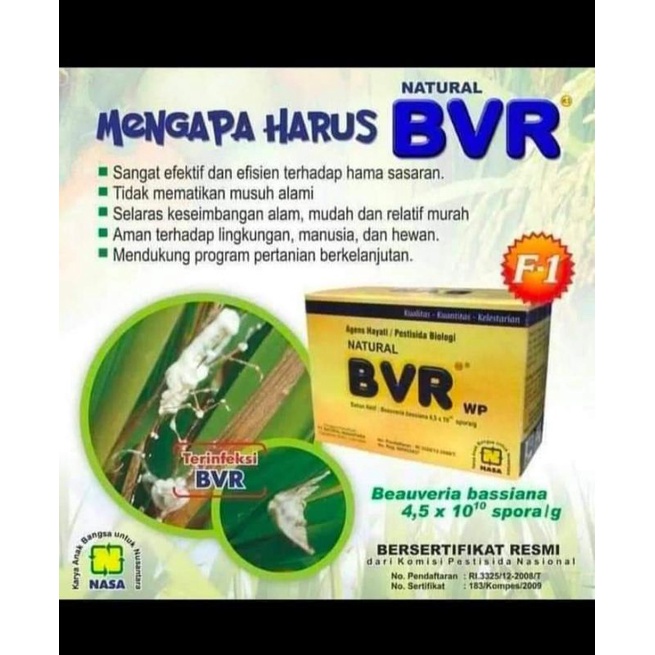 BVR NASA