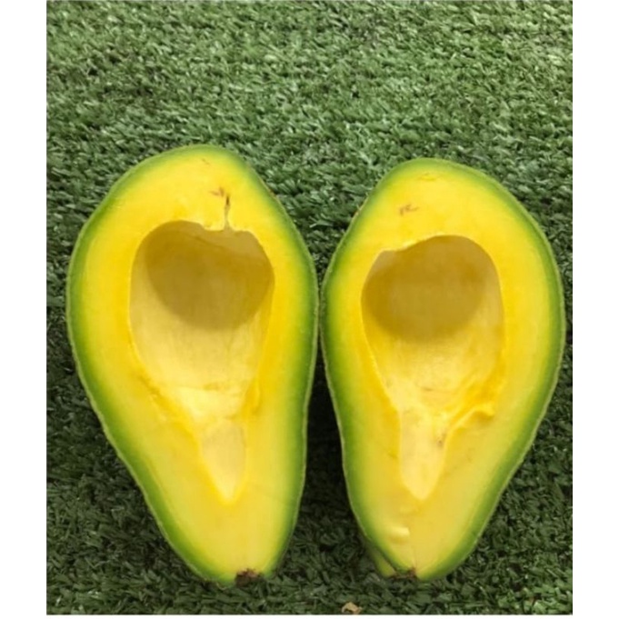 

Buah Alpukat / Alpukat Papua / Alpukat mentega 1kg