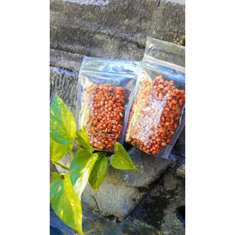 

Kering Tempe Kacang