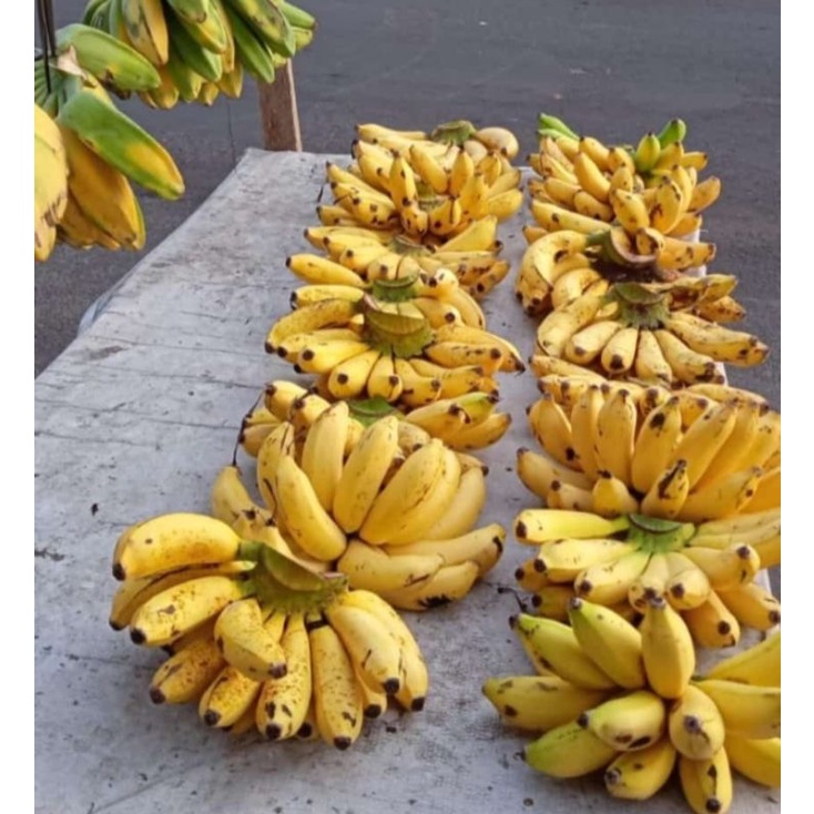 

pisang