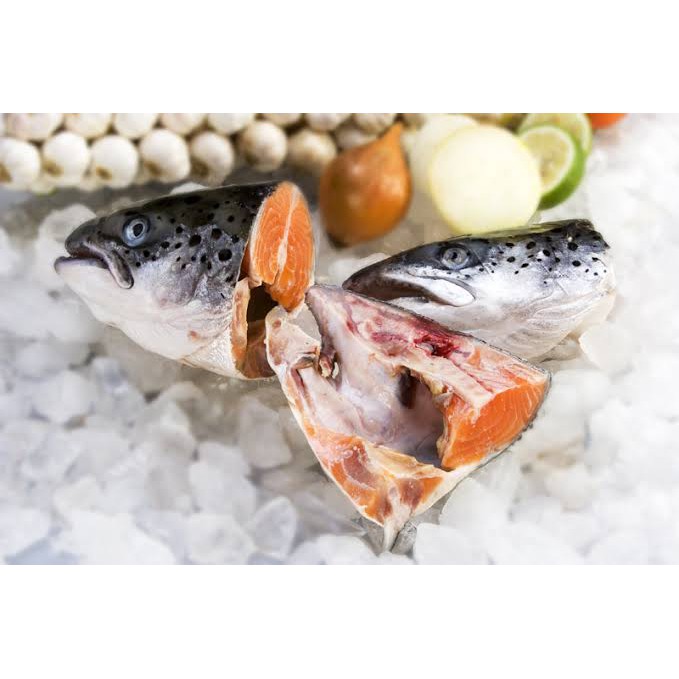 

Norwegian Salmon Head / Kepala Salmon Norway Premium Quality