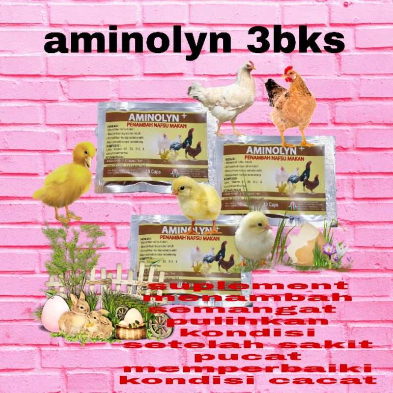 30 biji AMINOLYN PLUS + VITAMIN PENAMBAH NAFSU MAKAN OBAT TAMBAH TENAGA ayam burung bebek b komplek capsul asli ori tamasindo