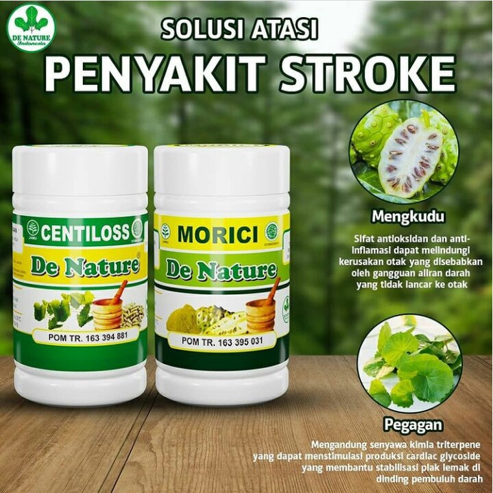 OBAT HERBAL STROKE STOKE RINGAN STOKE PARAH OBAT STRUKE RINGAN STRUKE OBAT LUMPUH LUMPUH TANGAN KAKI