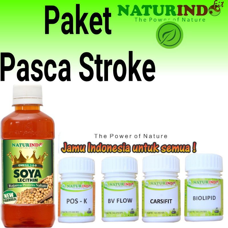 

Paket Herbal Pasca Stroke NATURINDO