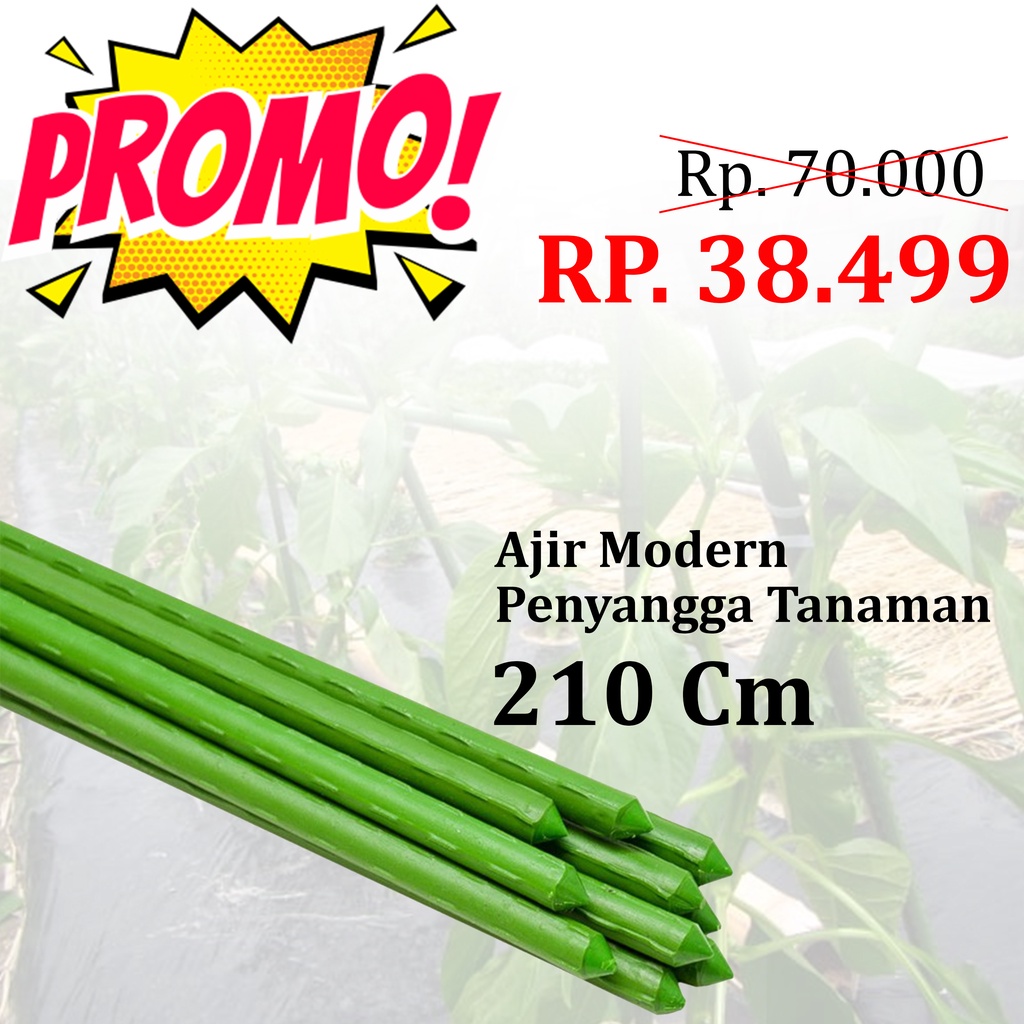 [ Handuk Centre ] Ajir Modern/Penyangga Tanaman/Plant Stake 210 Cm