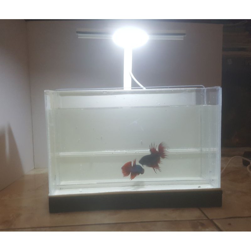 Aquarium Mini Akrilik Pipa PVC Selfi / Soliter Skat Selfi Ikan Cupang 22x10x14