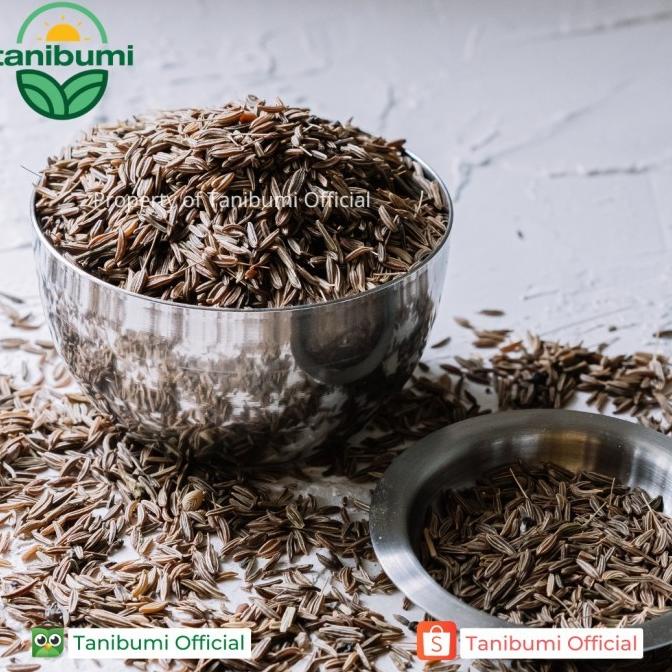 

PROMO Termurah Caraway Seed | 100g | Jintan Masak | Biji Jinten Premium MURAH