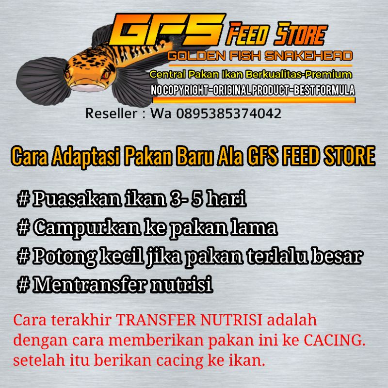 PREMIUM PELET GFS SPESIAL SINKING 100 GRAM