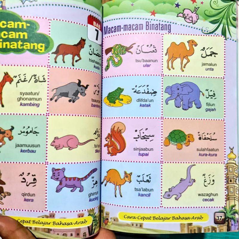 Buku Cara Cepat Mengenal Bahasa Arab Untuk Anak Anak TK / TPA Full Colour