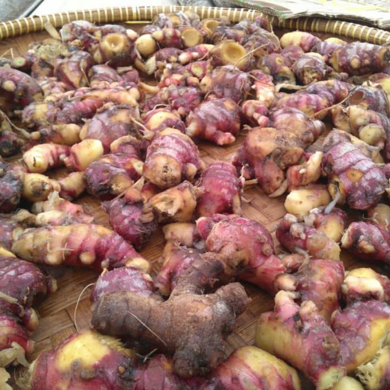 

jahe merah kemasan 1kg